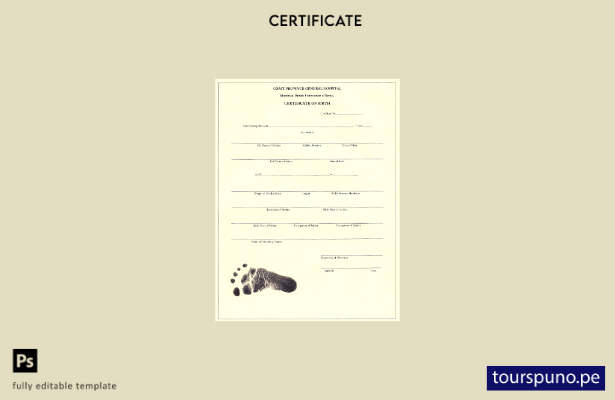 listo para imprimir plantilla de certificado de nacimiento del hospital genera 1